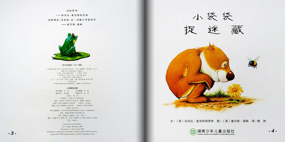 小袋袋捉迷藏 (03),绘本,绘本故事,绘本阅读,故事书,童书,图画书,课外阅读